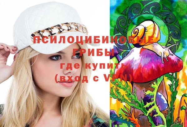 apvp Богданович
