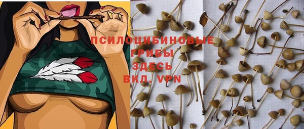 apvp Богданович