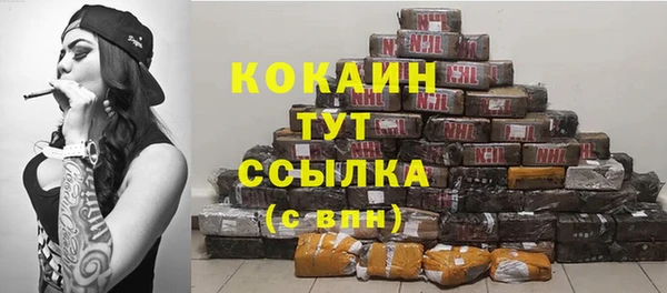 хмурый Богородск