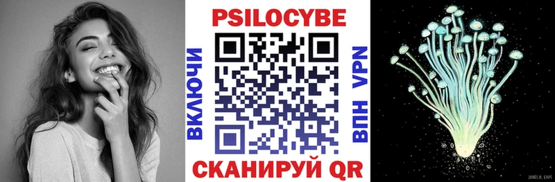 Псилоцибиновые грибы мицелий  наркотики  Долгопрудный 