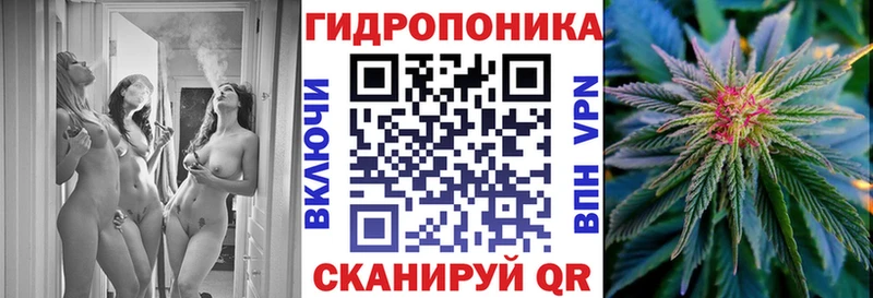 продажа наркотиков  Долгопрудный  Конопля ГИДРОПОН 